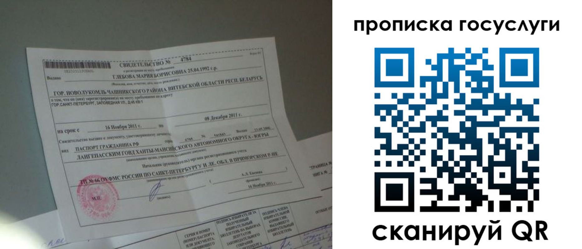 прописка 2025 в Камышине
